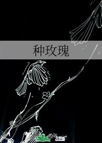 《种玫瑰》