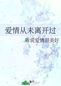 《爱情从未离开过》