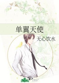 《单翼天使》