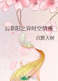 《云菲阳之异时空情殇》