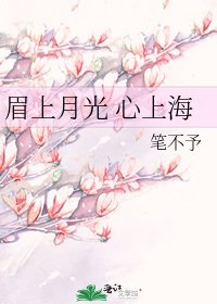 《眉上月光 心上海》