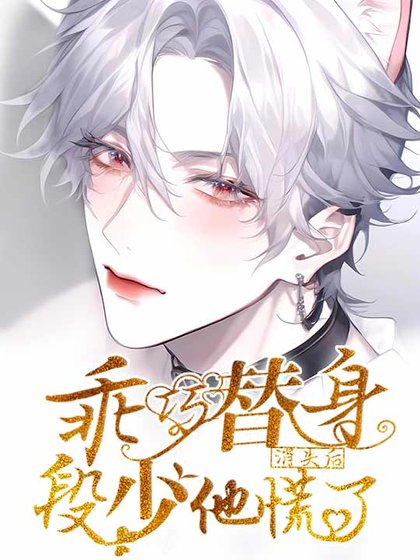 《乖巧替身消失后段少他慌了》