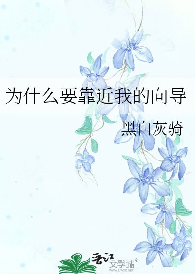 《为什么要靠近我的向导》