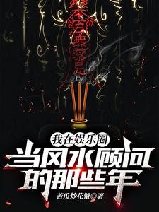 《我在娱乐圈当风水顾问的那些年》