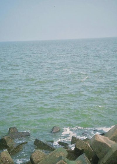 《冰河风》