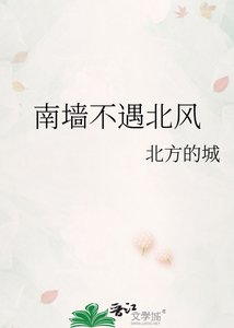 《南墙不遇北风》