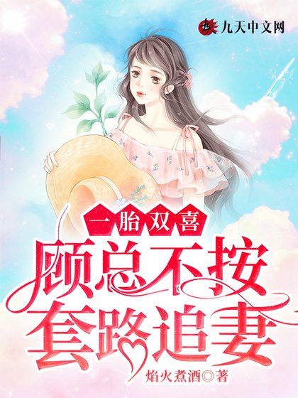 《一胎双喜:顾总不按套路追妻》