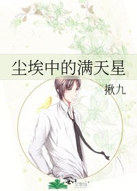 《尘埃中的满天星》