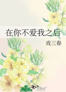 《在你不爱我之后》