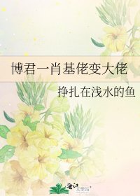 《博君一肖基佬变大佬》