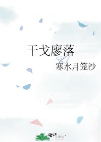 《干戈廖落》