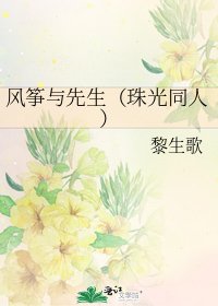 《风筝与先生(珠光同人)》