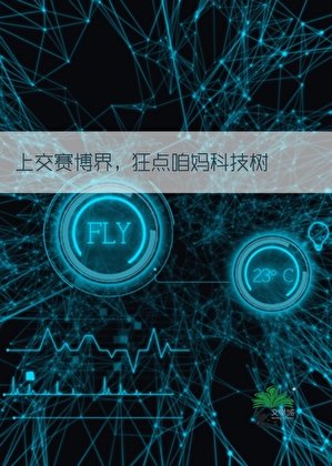 背靠祖国，制霸赛博！