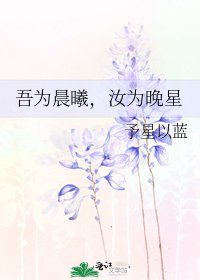 《吾为晨曦,汝为晚星》