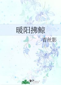 《暖阳拂鲸》