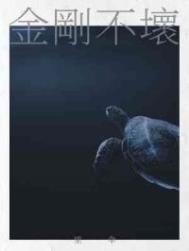 《金刚不坏》