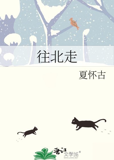 往北走
