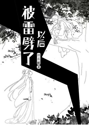 《被雷劈了以后》