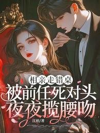 《相亲走错桌,被前任死对头夜夜揽腰吻》