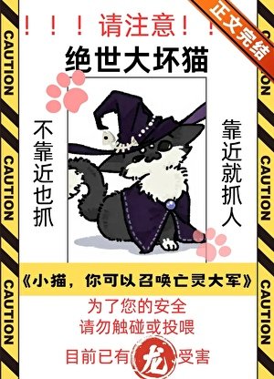 《猫,你可以召唤亡灵大军》