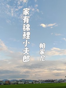 家有锦鲤小夫郎