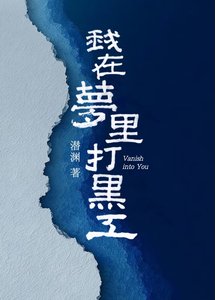 《我在梦里打黑工》