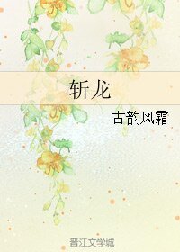 《(BL/霹雳同人)斩龙》
