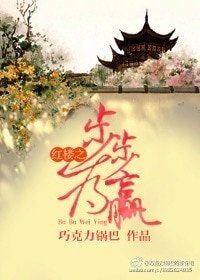 （BG/红楼同人）红楼之步步为赢