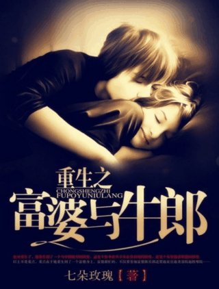 《重生之富.婆与牛郎》