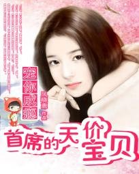《宠你成瘾:首席的天价宝贝》