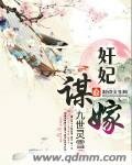 《奸妃谋嫁》