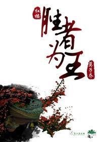《(BL/红楼同人)胜者为王》
