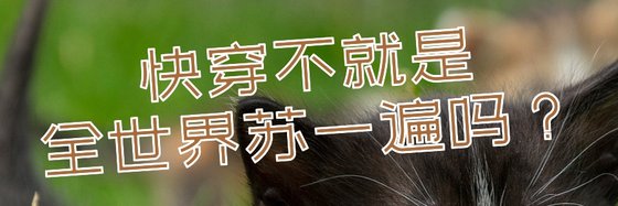 快穿不就是全世界蘇一遍嗎？
